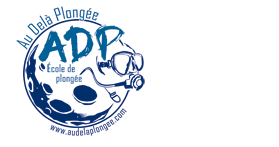 logo au dela plongée